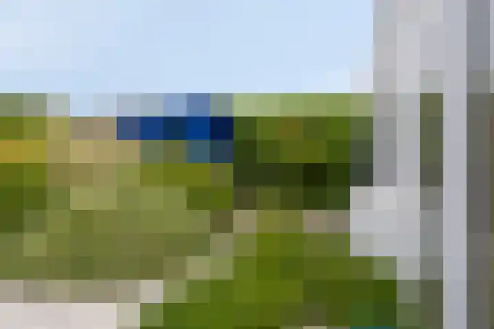 Alexanderpark 109 Ouddorp thumbnail 20