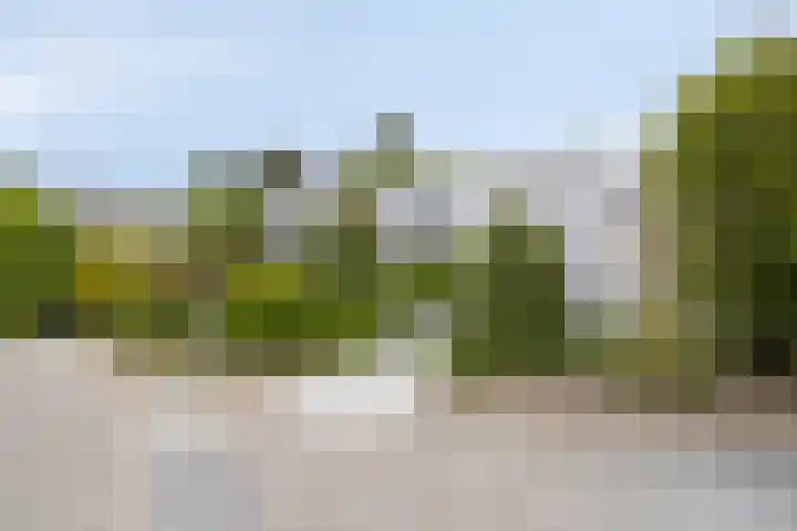 Alexanderpark 109 Ouddorp thumbnail 21