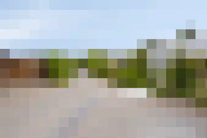 Alexanderpark 109 Ouddorp thumbnail 22