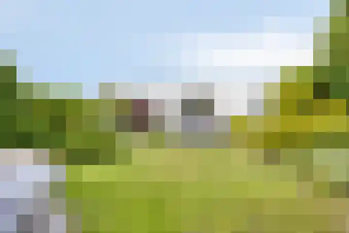 Alexanderpark 109 Ouddorp thumbnail 27