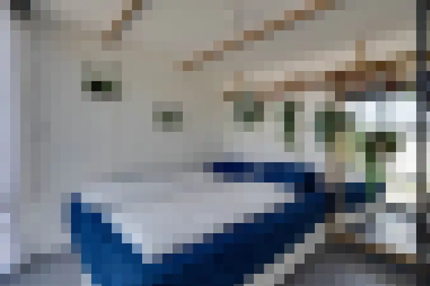 Alexanderpark 12 Ouddorp thumbnail 16