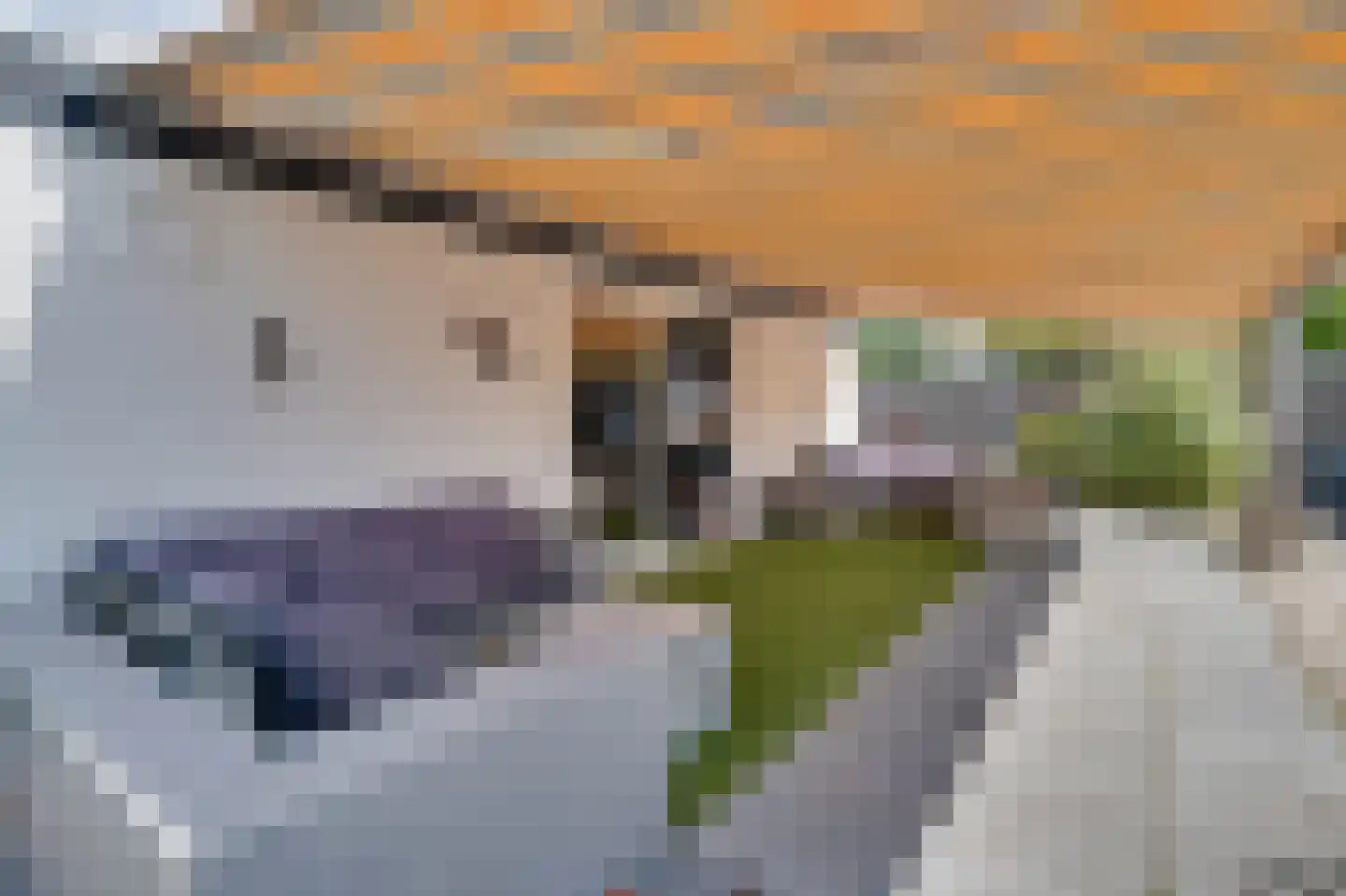 Alexanderpark 12 Ouddorp thumbnail 18