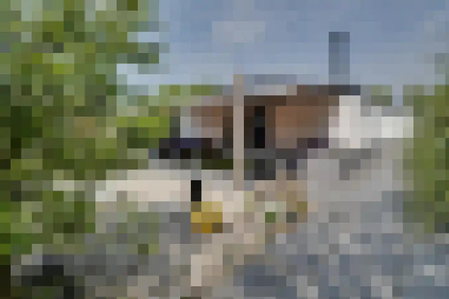 Alexanderpark 12 Ouddorp thumbnail 19