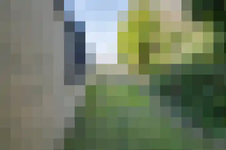 Alexanderpark 201 Ouddorp thumbnail 15
