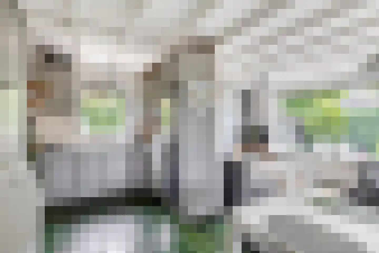 Alexanderpark 202 Ouddorp thumbnail 11