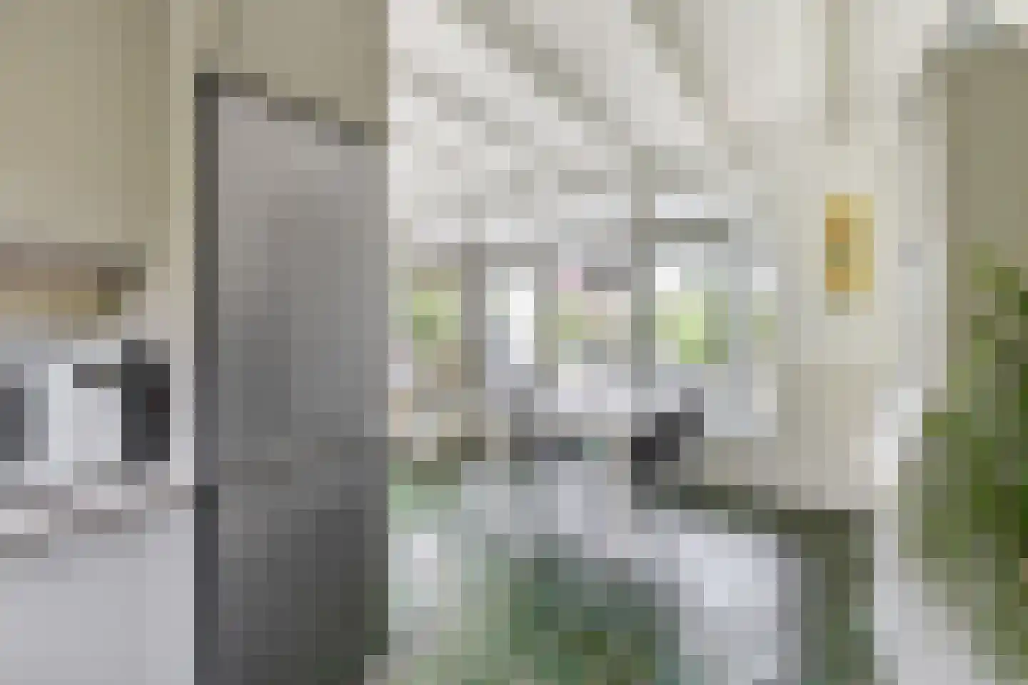 Alexanderpark 202 Ouddorp thumbnail 13
