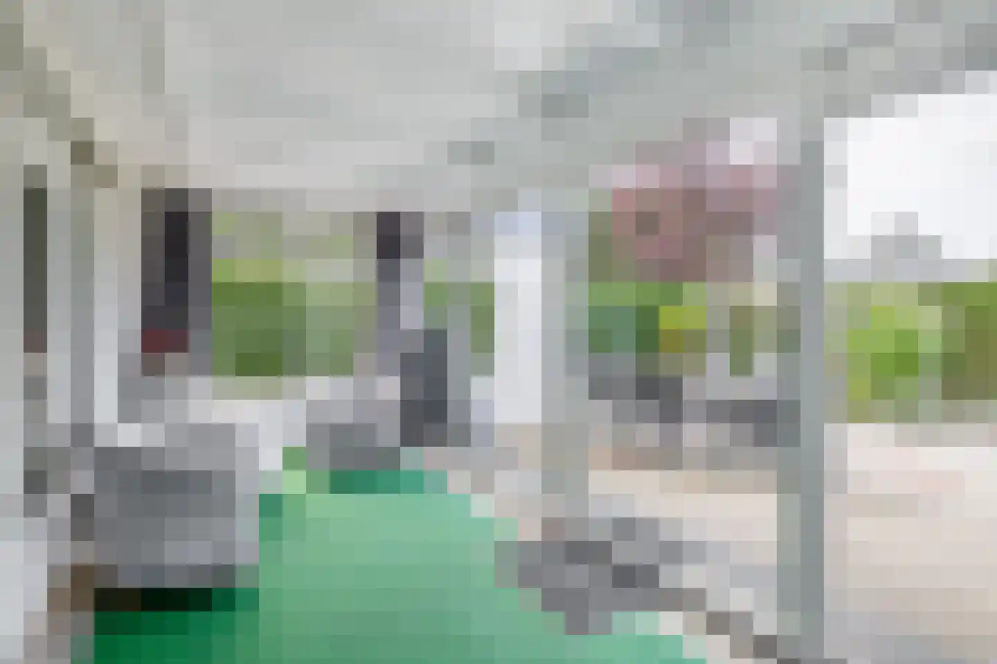 Alexanderpark 202 Ouddorp thumbnail 15