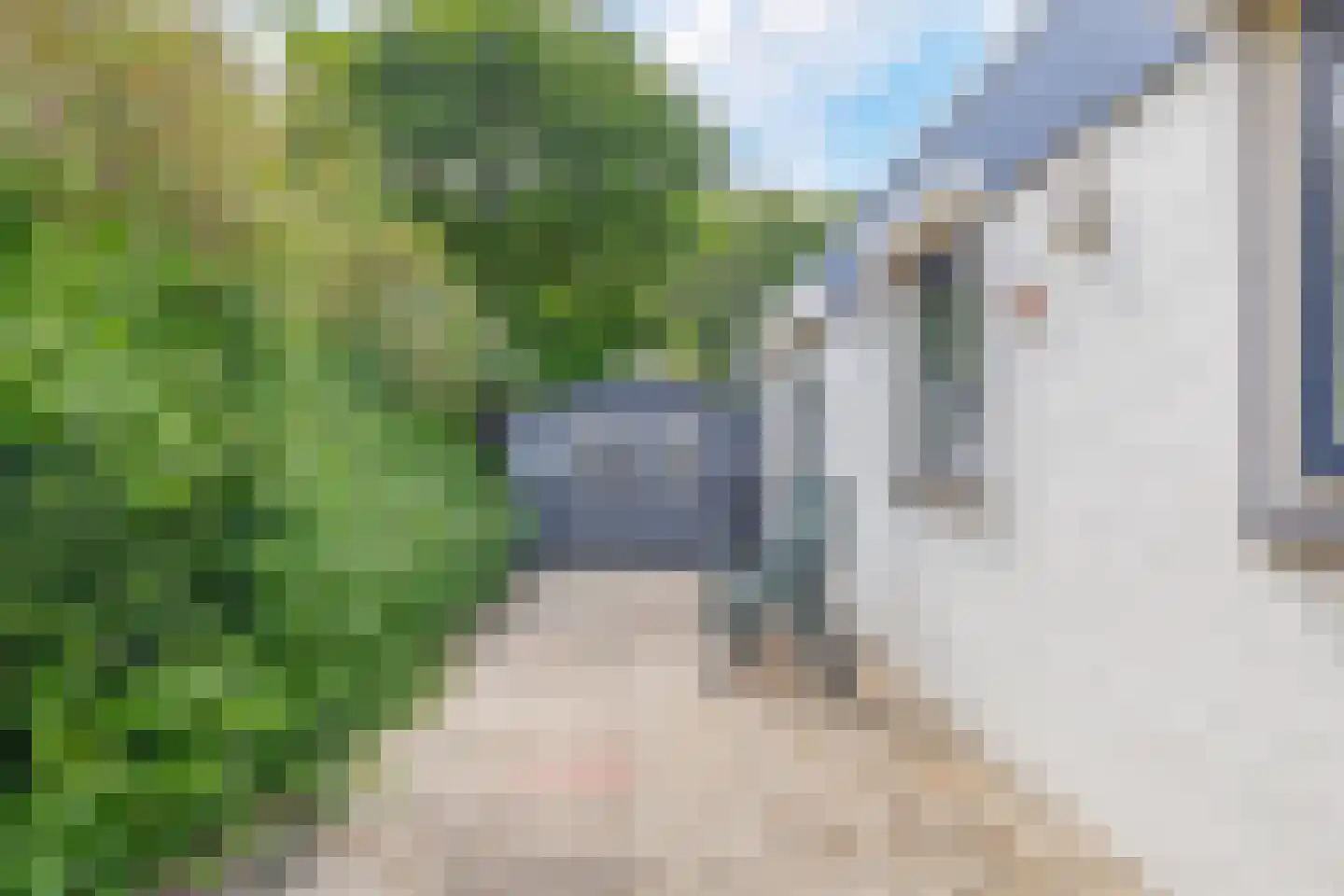 Alexanderpark 202 Ouddorp thumbnail 25