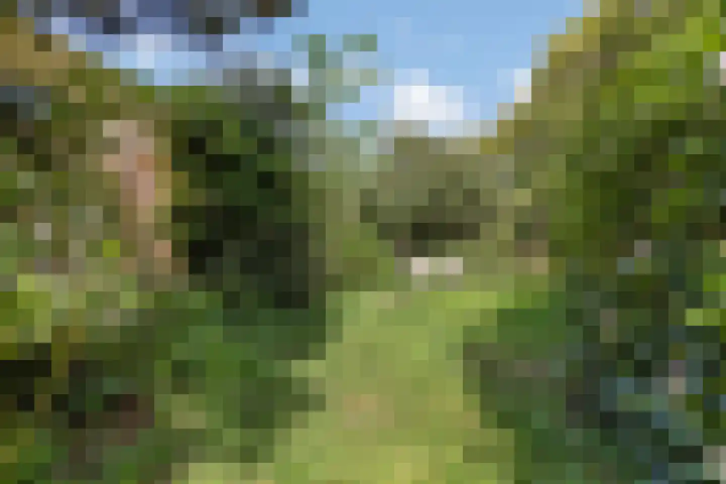 Alexanderpark 205 Ouddorp thumbnail 26