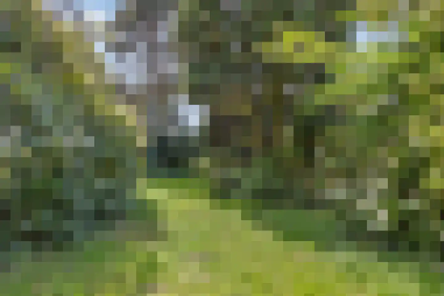 Alexanderpark 205 Ouddorp thumbnail 27