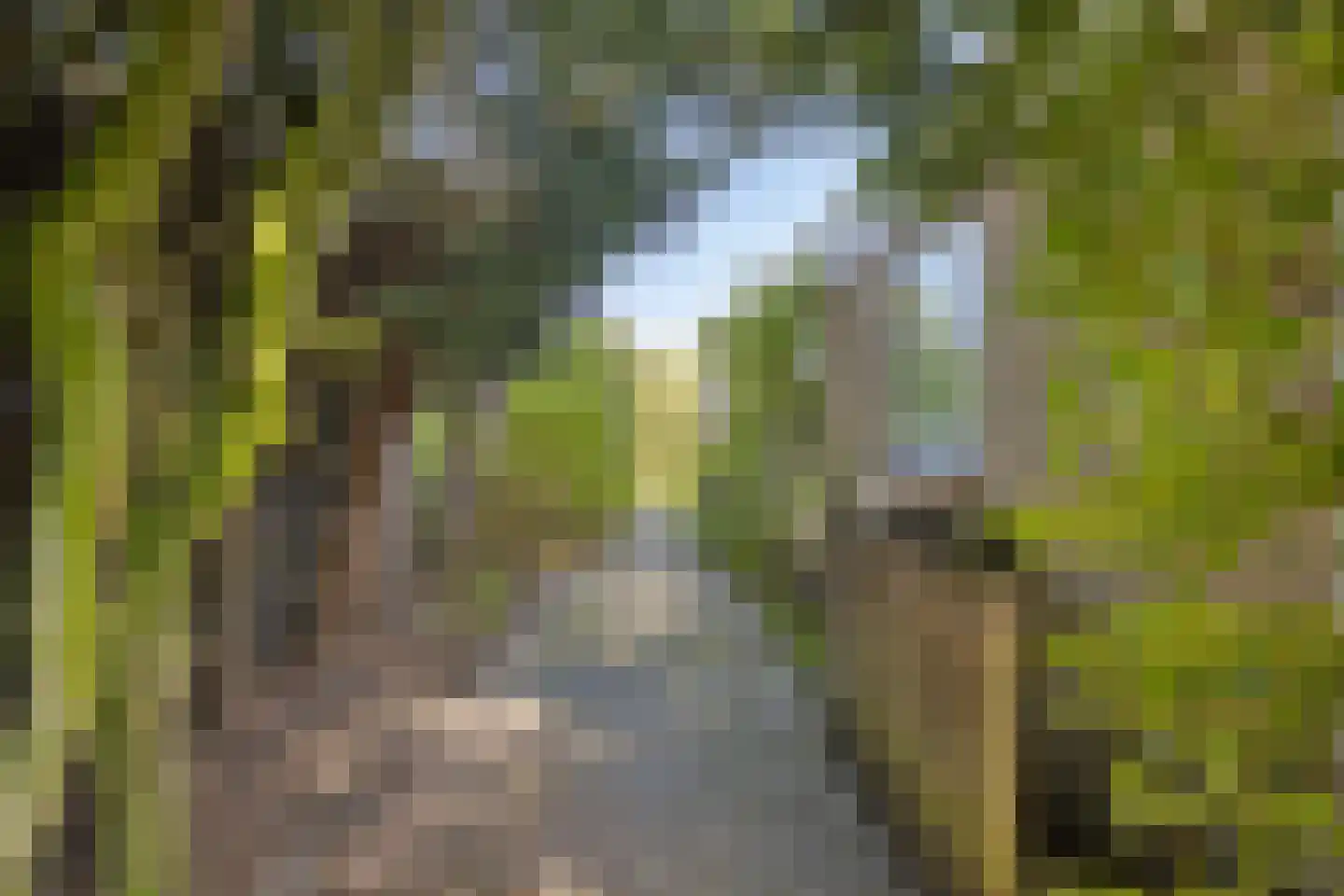 Alexanderpark 205 Ouddorp thumbnail 30