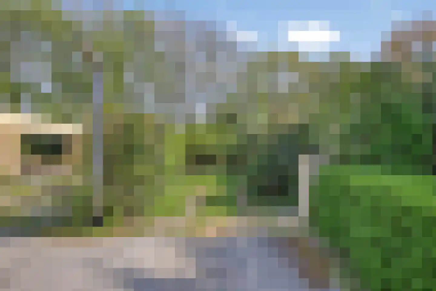 Alexanderpark 205 Ouddorp thumbnail 32