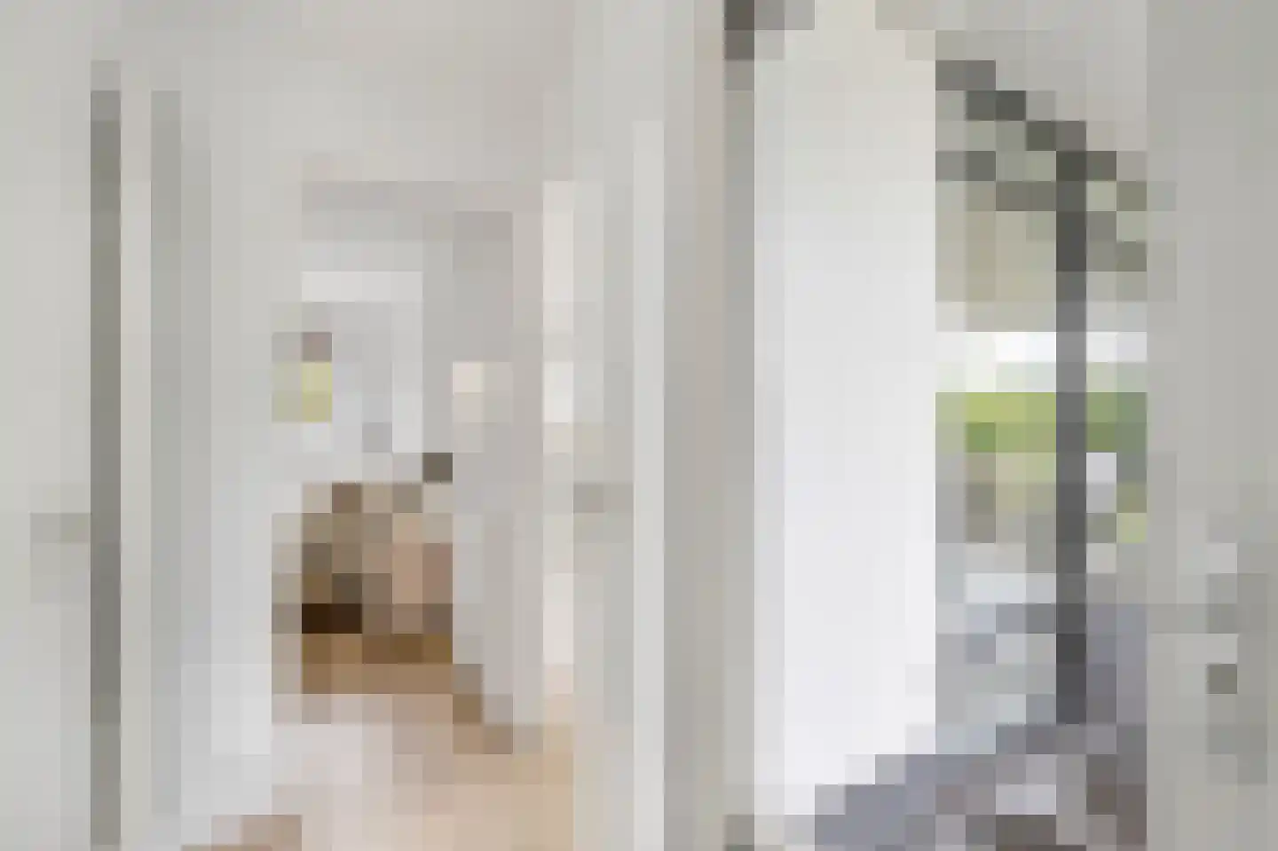 Alexanderpark 210 Ouddorp thumbnail 12
