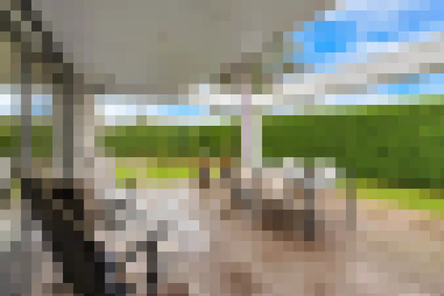 Alexanderpark 210 Ouddorp thumbnail 30