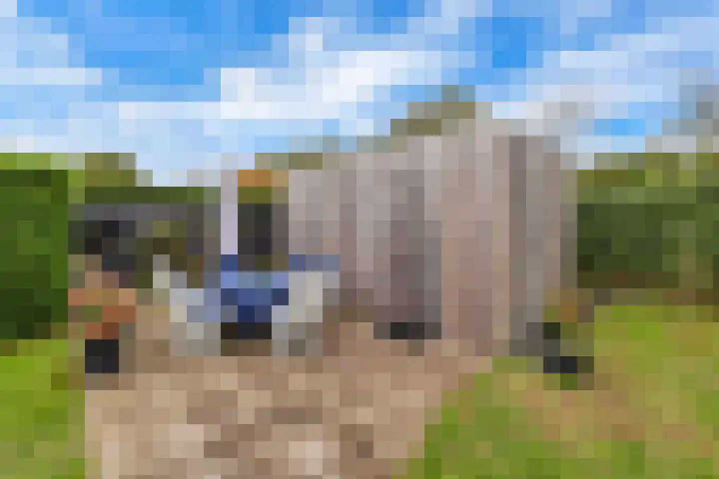 Alexanderpark 210 Ouddorp thumbnail 38