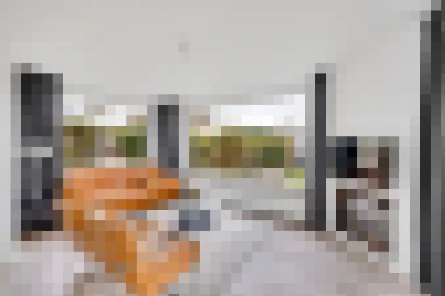Alexanderpark 210 Ouddorp thumbnail 4