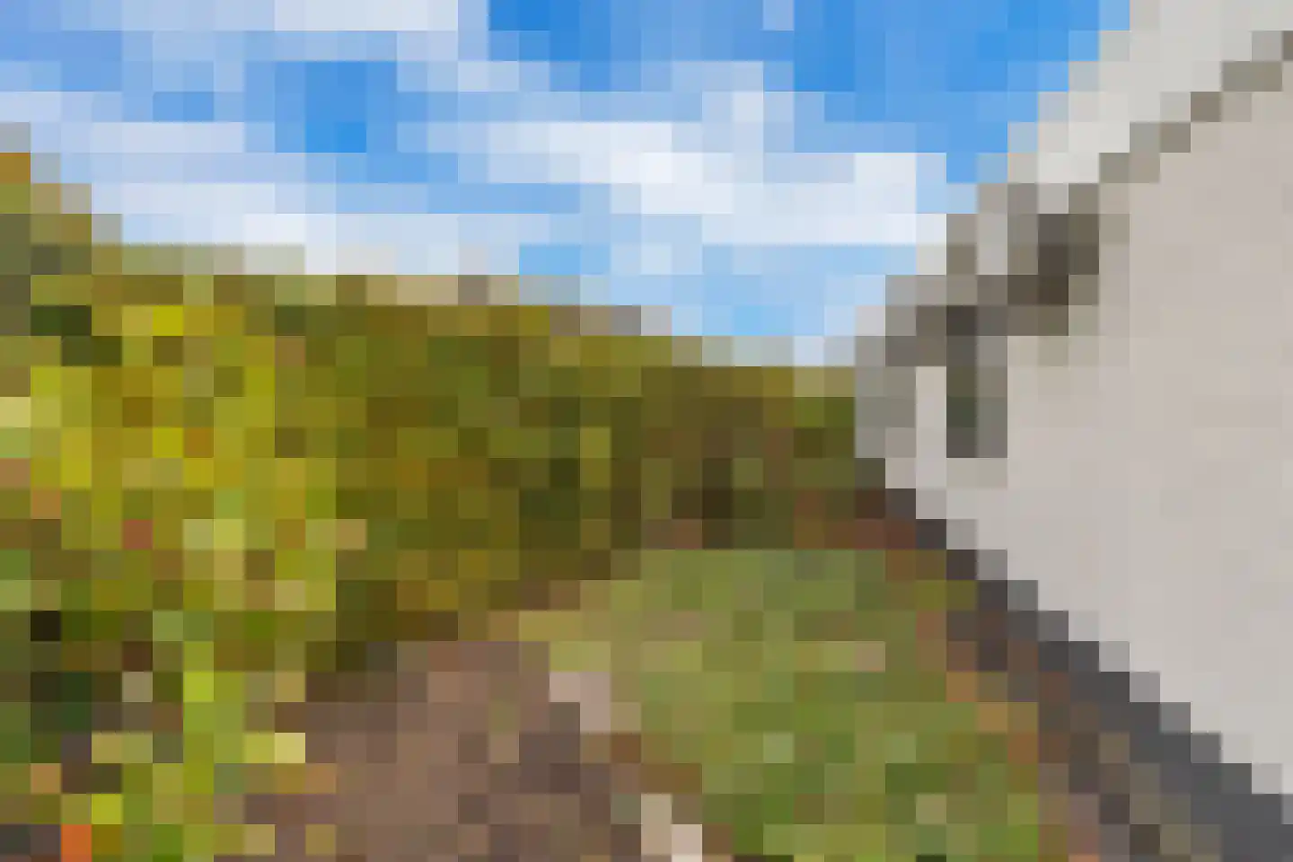 Alexanderpark 210 Ouddorp thumbnail 41