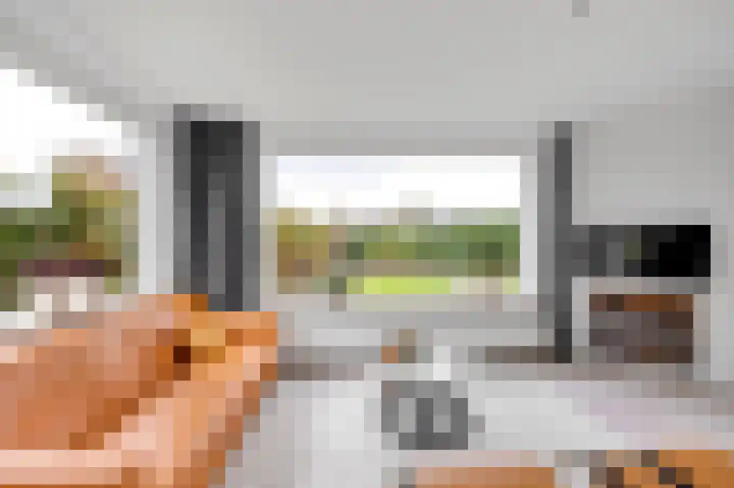 Alexanderpark 210 Ouddorp thumbnail 5
