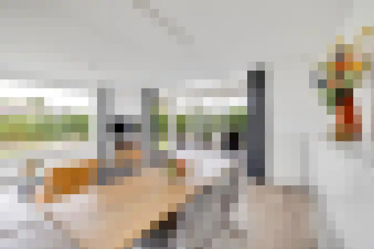 Alexanderpark 210 Ouddorp thumbnail 8