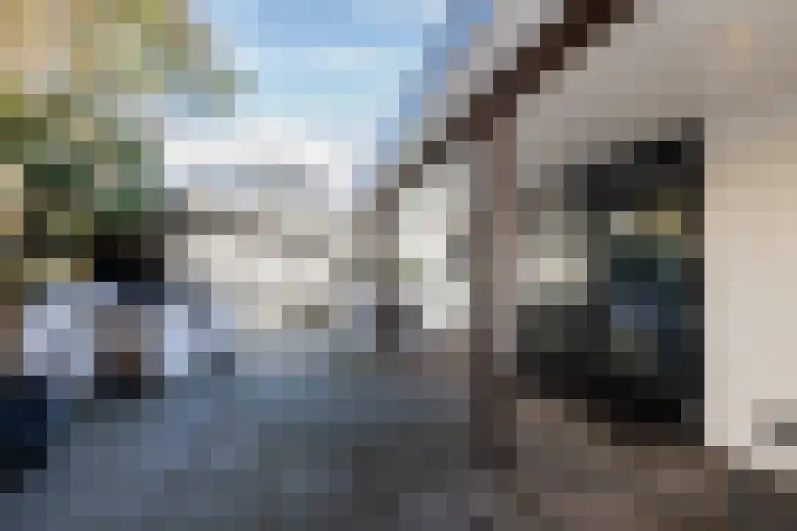 Alexanderpark 33 Ouddorp thumbnail 19