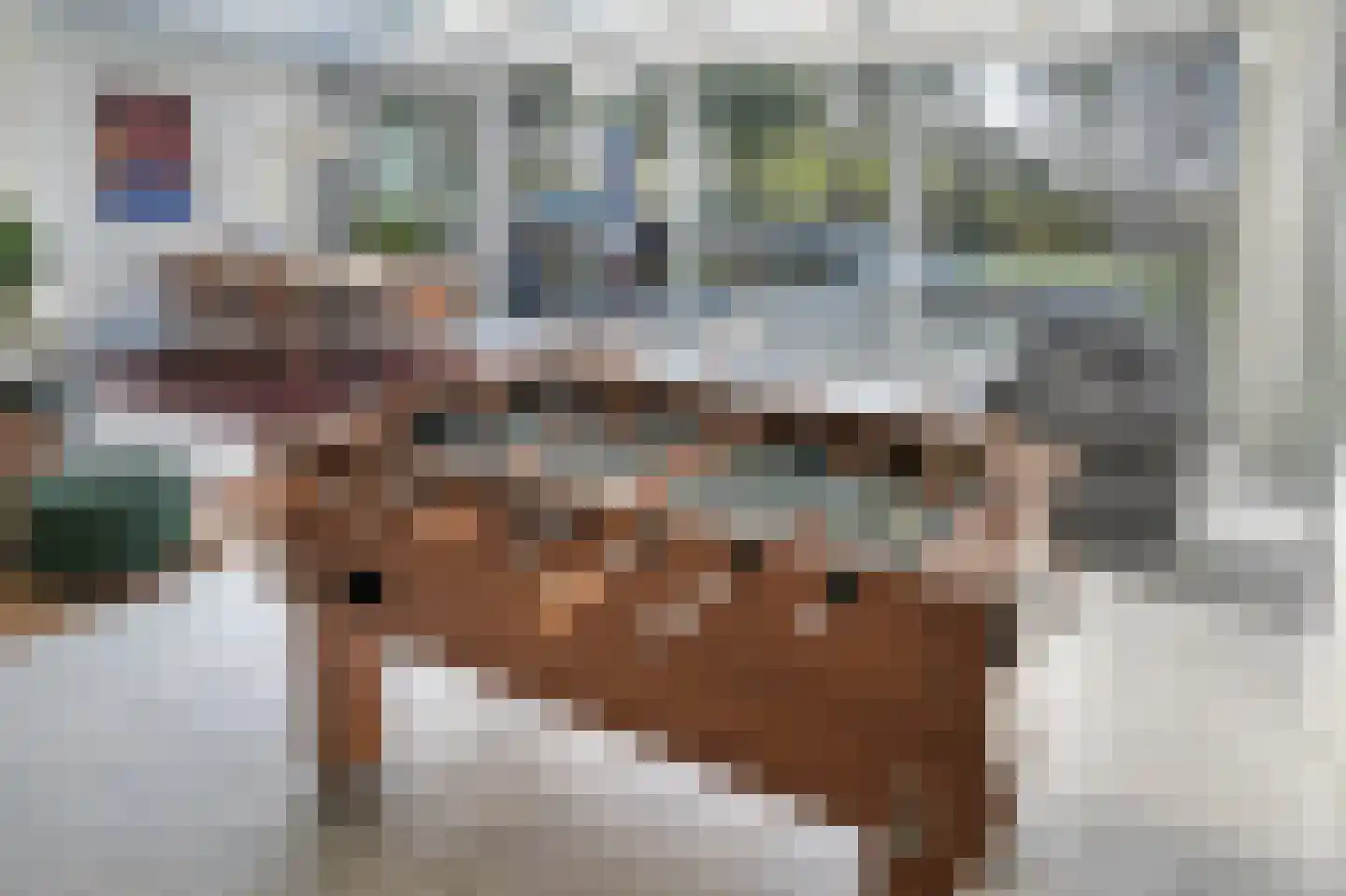 Alexanderpark 54 Ouddorp thumbnail 15