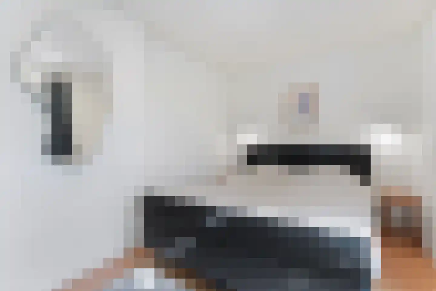 Alexanderpark 54 Ouddorp thumbnail 22
