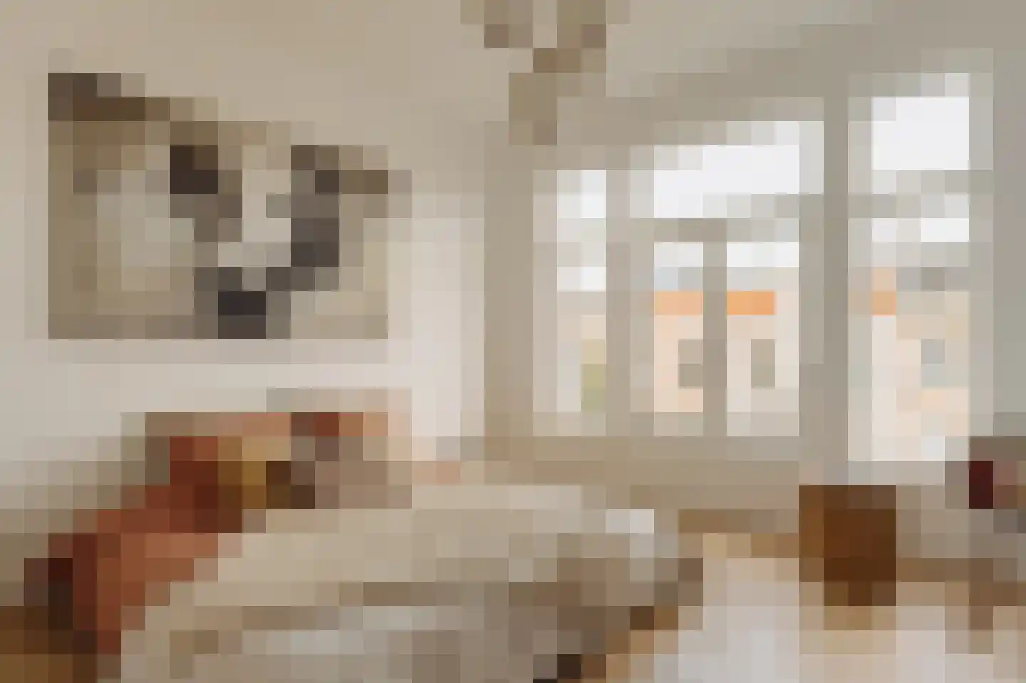 Alexanderplein 3 2 Amsterdam thumbnail 18
