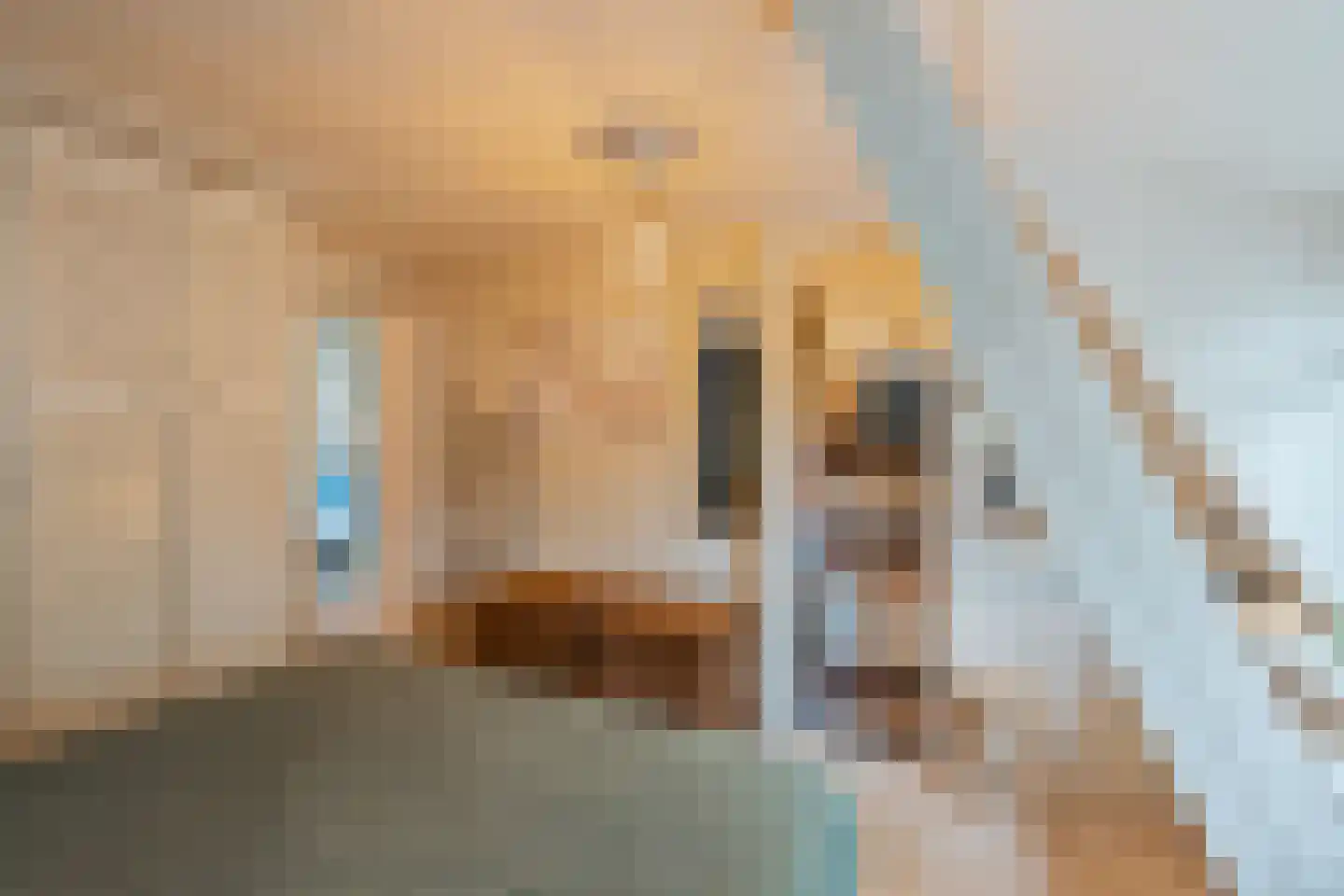 Alexanderstraat 1 Capelle aan den IJssel thumbnail 15