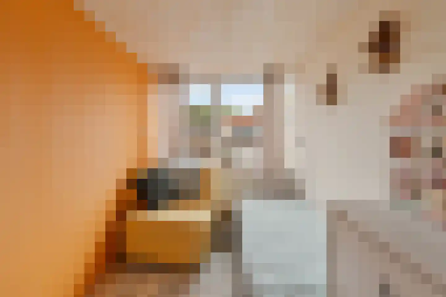 Alexanderstraat 1 Capelle aan den IJssel thumbnail 17