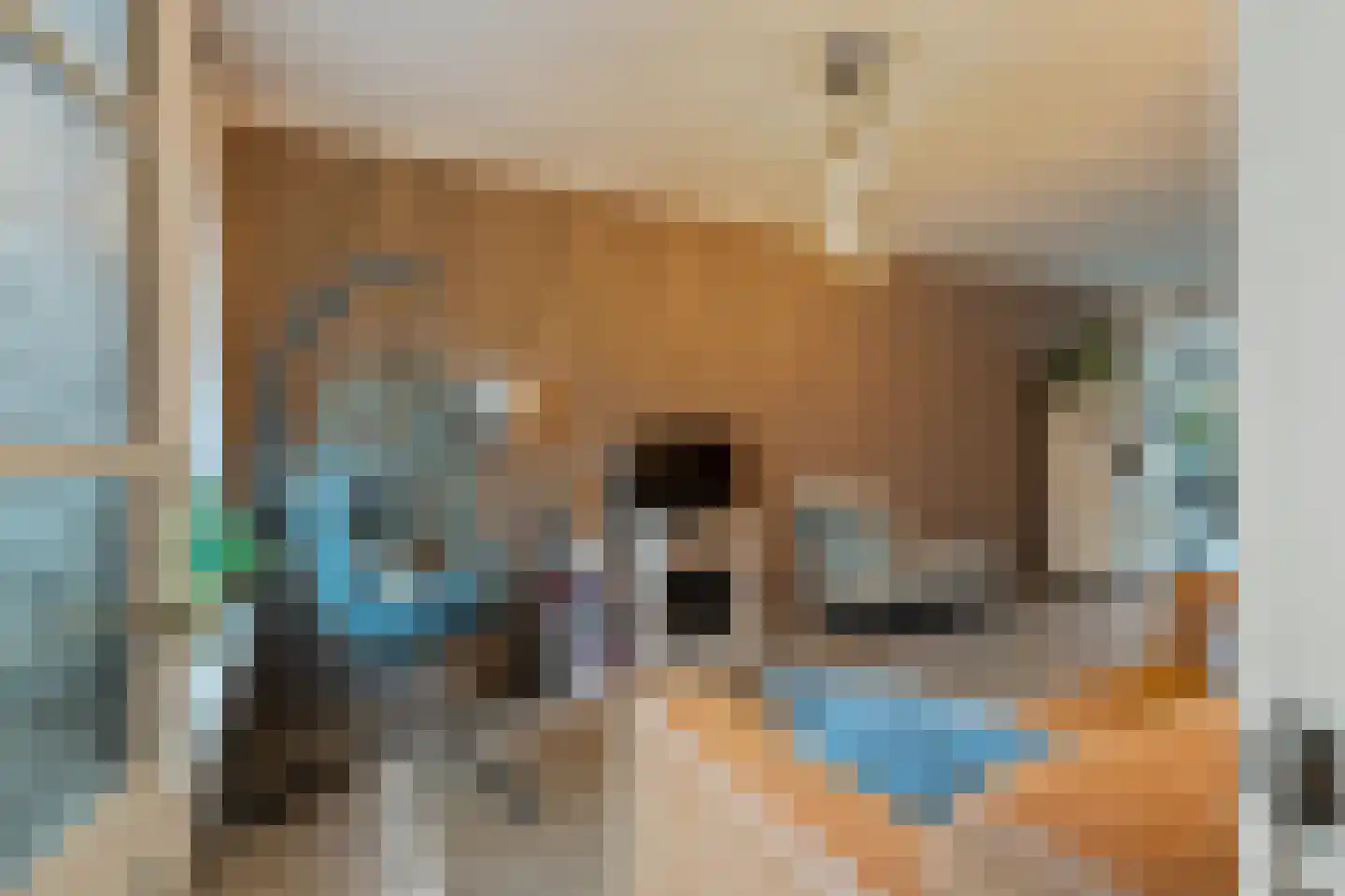 Alexanderstraat 1 Capelle aan den IJssel thumbnail 21