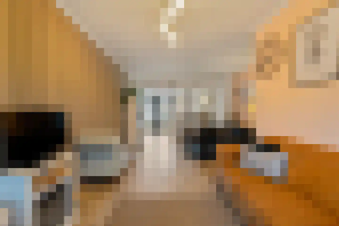 Alexanderstraat 1 Capelle aan den IJssel thumbnail 8