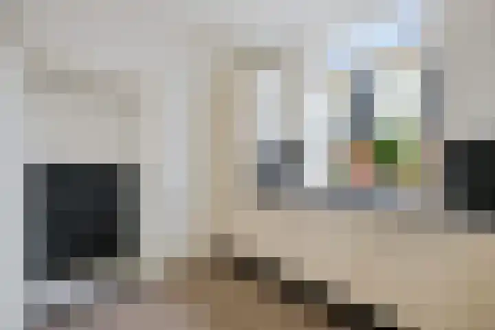 Alexanderstraat 1 d Velp thumbnail 16