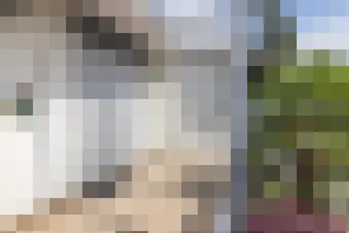 Alexanderstraat 1 Spaubeek thumbnail 29