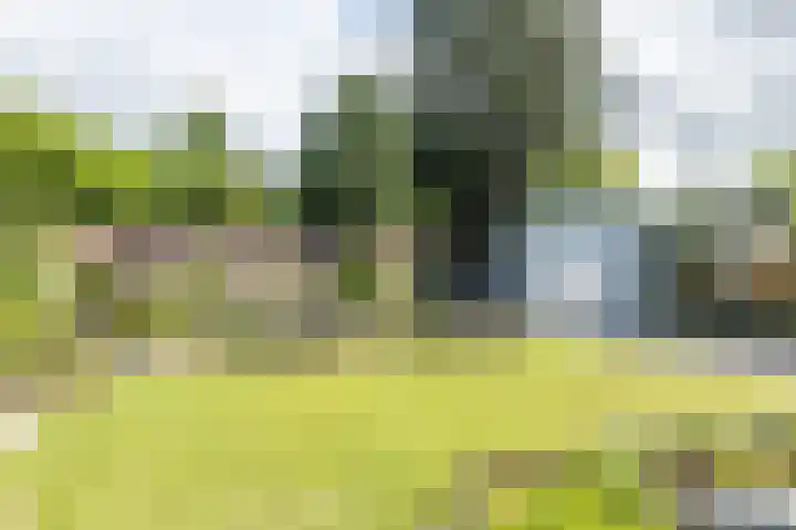 Alexanderstraat 1 Spaubeek thumbnail 35