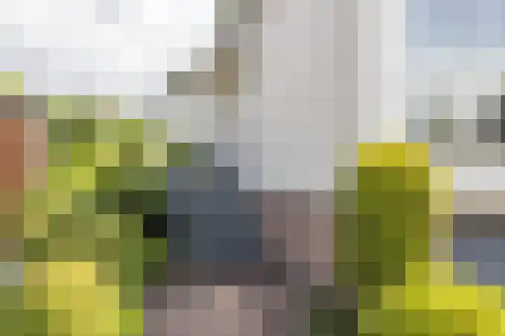 Alexanderstraat 1 Spaubeek thumbnail 39
