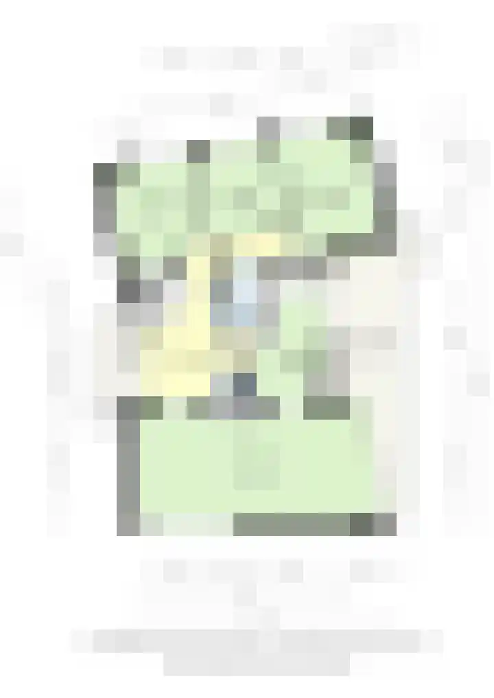 Alexanderstraat 1 Spaubeek thumbnail 43