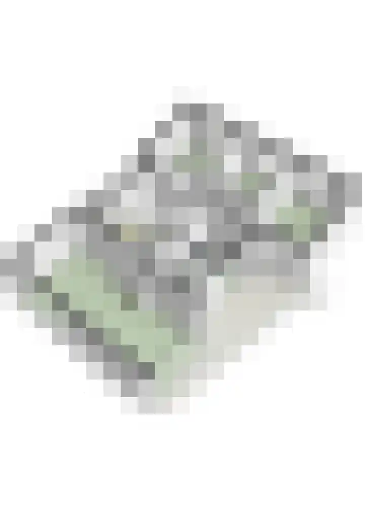 Alexanderstraat 1 Spaubeek thumbnail 46