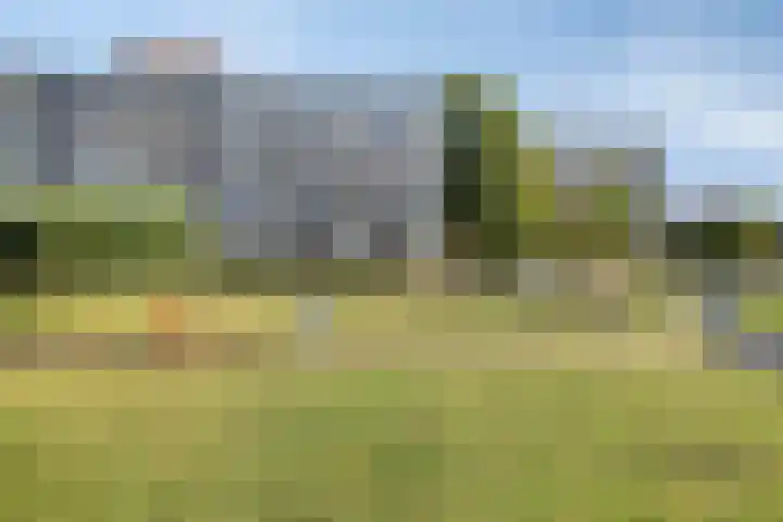 Alexanderstraat 1 Zoetermeer thumbnail 31