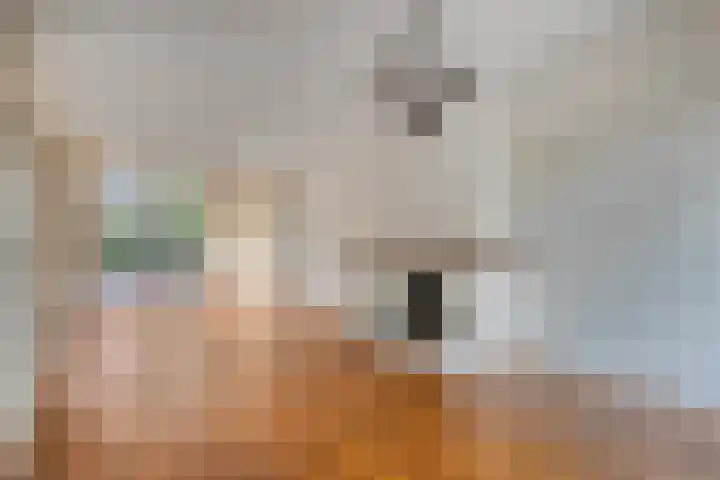 Alexanderstraat 1 Zoetermeer thumbnail 4
