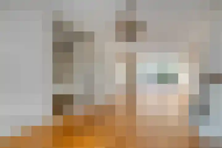 Alexanderstraat 1 Zoetermeer thumbnail 5