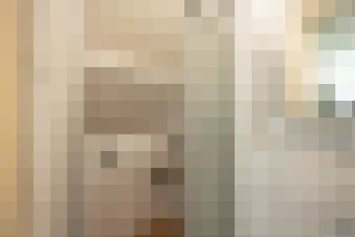 Alexanderstraat 10 Groningen thumbnail 24
