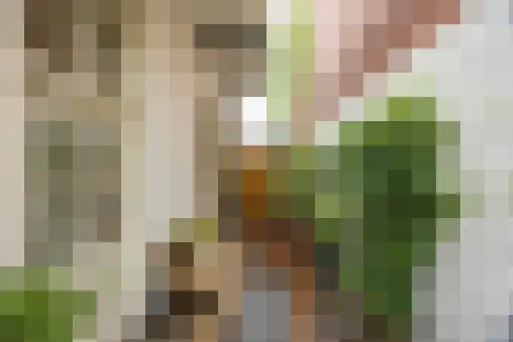 Alexanderstraat 10 Groningen thumbnail 26