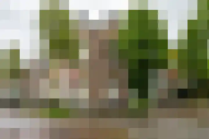 Alexanderstraat 10 Groningen thumbnail 29