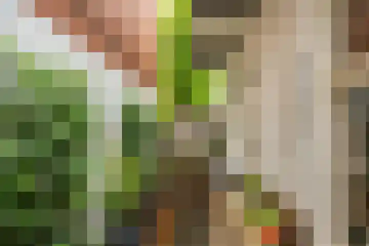 Alexanderstraat 10 Groningen thumbnail 4
