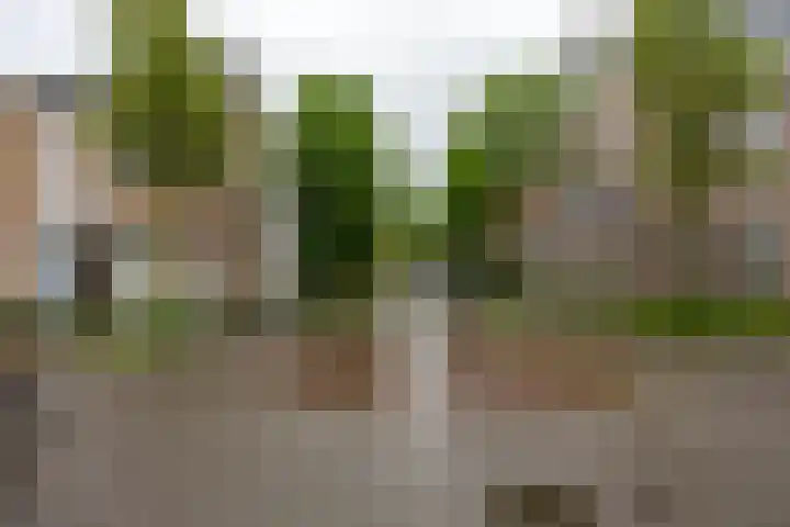 Alexanderstraat 10 Groningen thumbnail 5