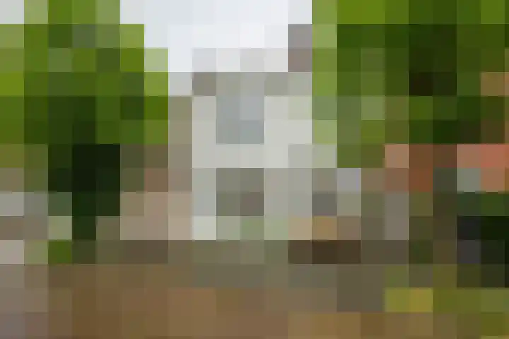 Alexanderstraat 10 Groningen thumbnail 7
