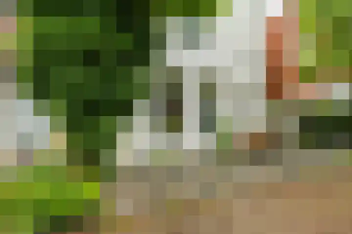 Alexanderstraat 10 Groningen thumbnail 8