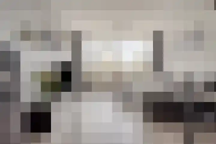 Alexanderstraat 105 in Zoetermeer