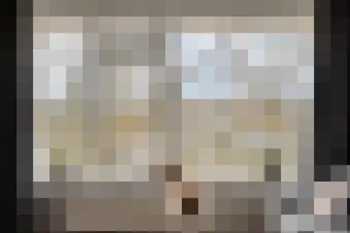 Alexanderstraat 105 Zoetermeer thumbnail 14