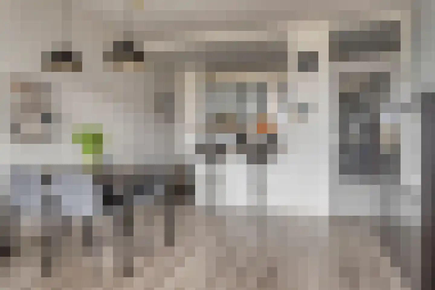 Alexanderstraat 105 Zoetermeer thumbnail 17